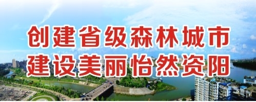 丰腴婶子一挺插创建省级森林城市 建设美丽怡然资阳